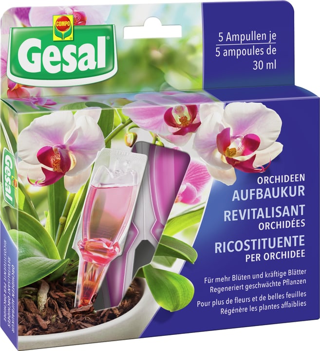 Image of Compo Gesal Orchideen Aufbaukur, 5x30 ml Flüssigdünger