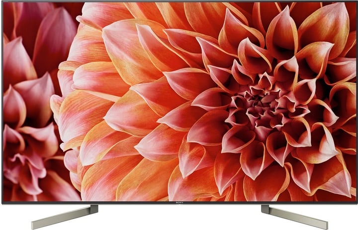 Sony KD-49XF9005 123cm Televisore 4K Televisore KD-49XF9005 123cm Televisore 4K Televisore Sony 770344400000 N. figura 1