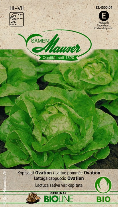 Image of Samen Mauser Kopfsalat Ovation Gemüsesamen bei Do it + Garden von Migros