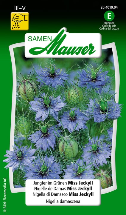 Image of Samen Mauser Jungfer im Grünen Miss Jeckyll Blumensamen