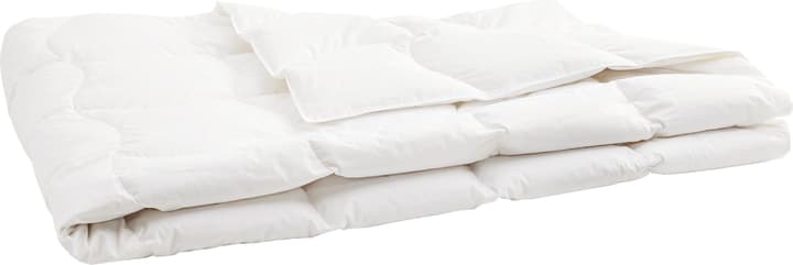 Daunen/Gänsedaunen-Duvet SANADAUN light