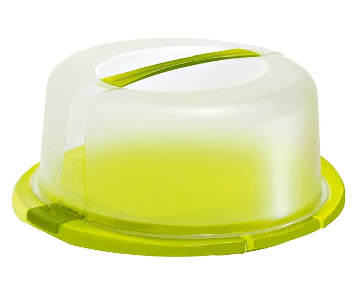 Image of Rotho COOL & FRESH Kuchenbehälter Tortenglocke bei Do it + Garden von Migros