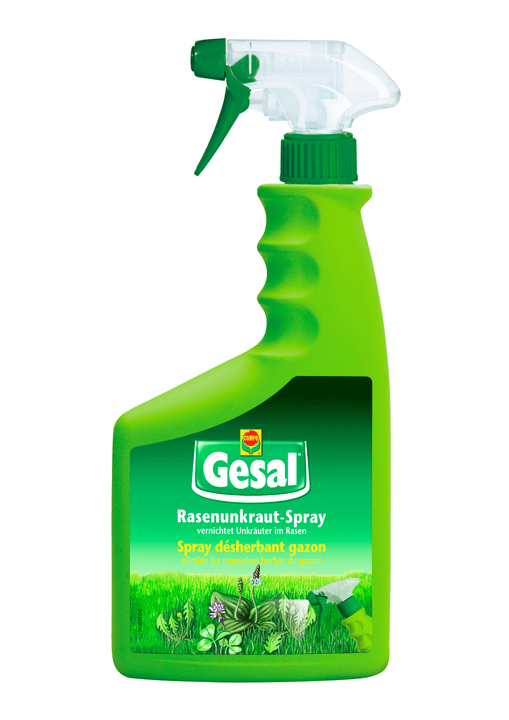 Image of Compo Gesal Rasenunkraut-Spray, 750 ml Rasenunkraut bei Do it + Garden von Migros