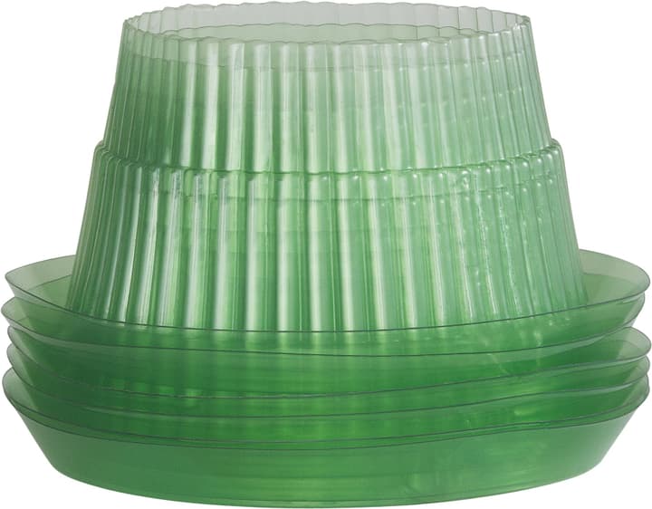 Image of Windhager Schneckenschutzring 12cm, 6 Stück Schneckenbarriere