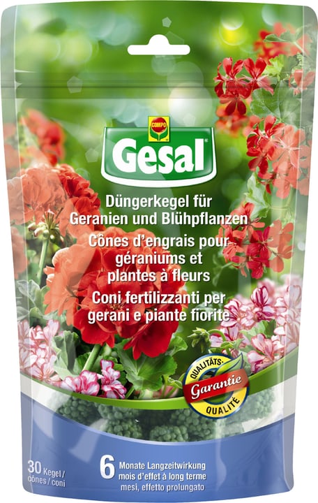 Image of Compo Gesal Düngerkegel für Geranien und Blühpflanzen Düngestäbchen bei Do it + Garden von Migros