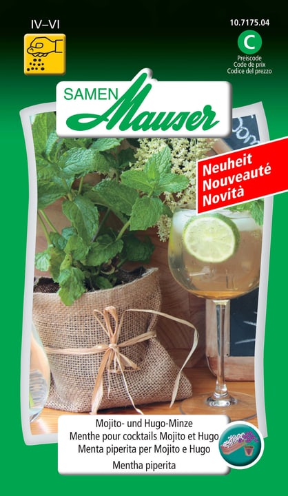 Image of Samen Mauser Minze für Cocktail Mojito und Hugo Gemüsesamen bei Do it + Garden von Migros