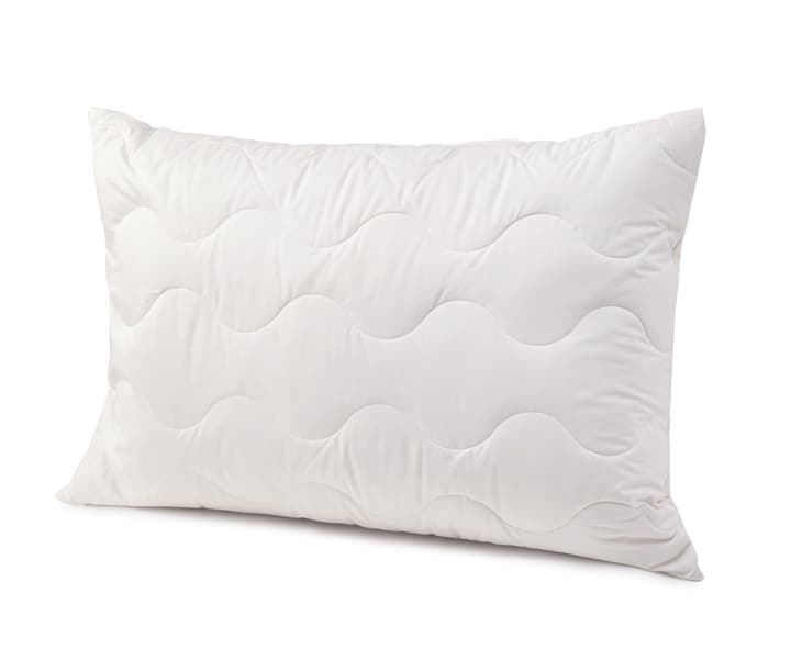 DIVERSO forte Festes Kopfkissen mit hochwertigen Daunen und Federn DIVERSO forte Festes Kopfkissen mit hochwertigen Daunen und Federn 451746610610 Farbe Weiss Grösse B: 65.0 cm x T: 65.0 cm Bild Nr. 1