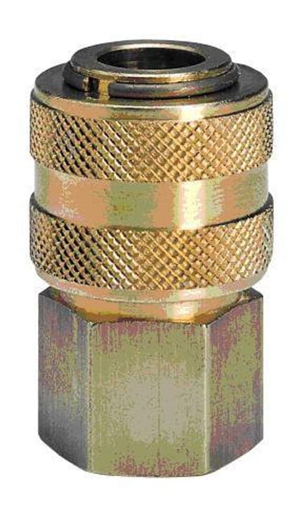 Einhell Raccord rapide R1/4 FI Raccords Raccord rapide R1/4 FI Raccords Einhell 611214900000 Photo no. 1