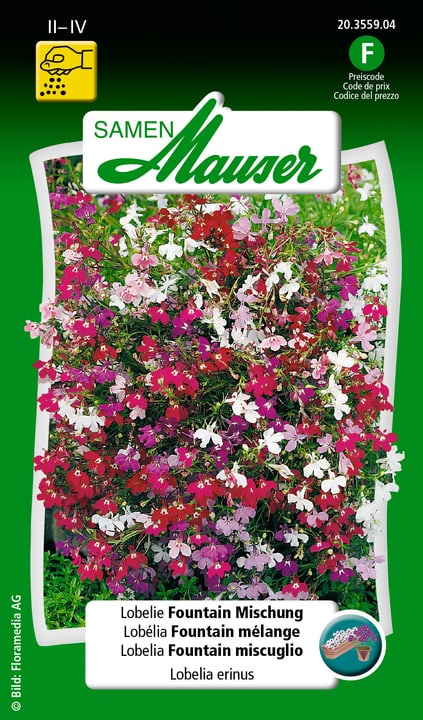 Image of Samen Mauser Lobelie Fountain Mischung Blumensamen