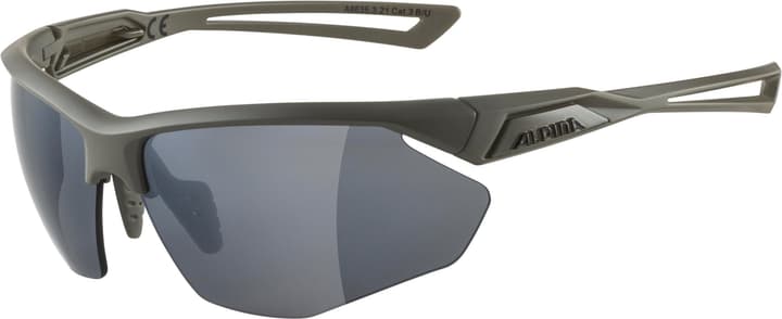 Image of Alpina Nylos HR Sportbrille grau