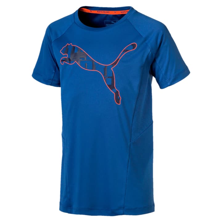 Puma Active Sports Poly Tee B KnabenTShirt kaufen bei sportxx.ch