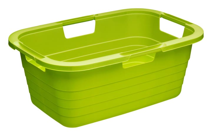 Rotho Wäschekorb 37l Sunshine grün - kaufen bei Do it + Garden