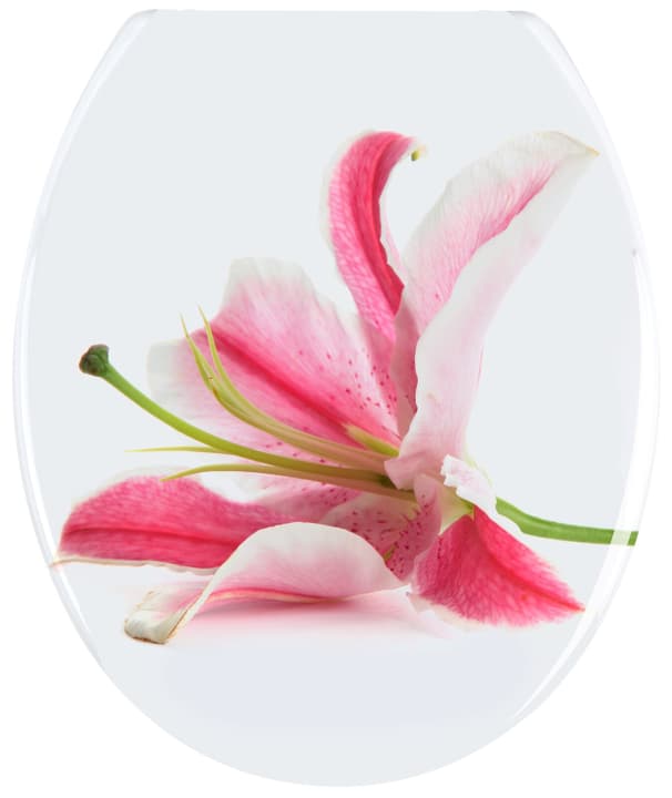 Image of WENKO Orchid WC-Sitz bei Do it + Garden von Migros