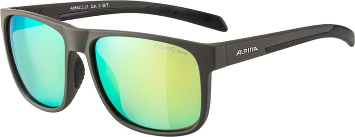 Image of Alpina Nacan III Sportbrille grau