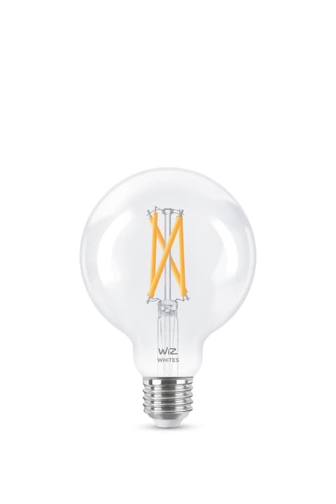 Image of WiZ TUNABLE WHITE G95 LED Lampe