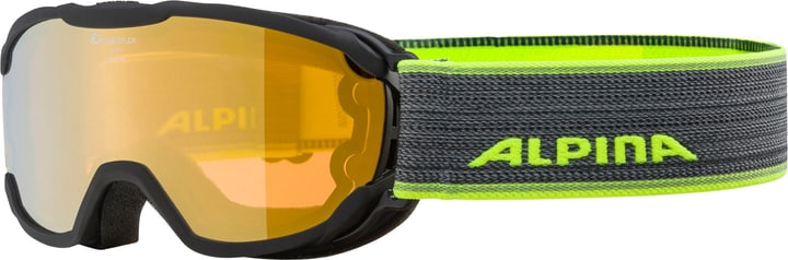 Image of Alpina Pheos JR QLite Skibrille / Snowboardbrille rauch