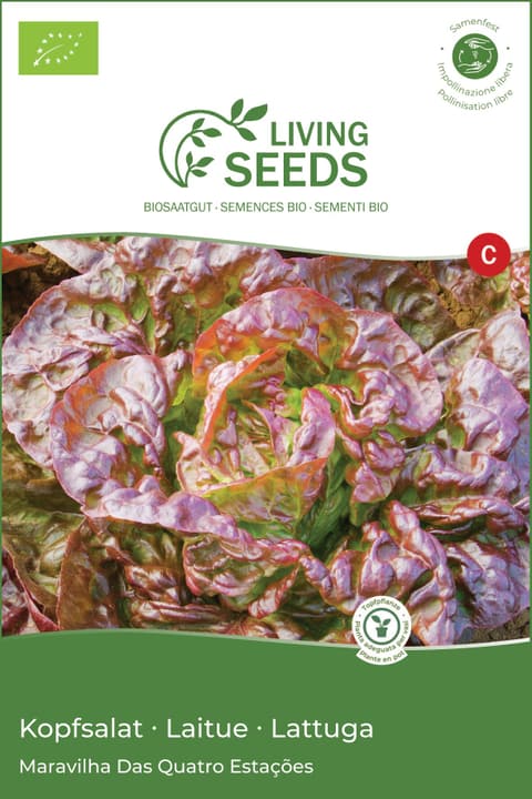 Image of Living Seeds Kopfsalat Gemüsesamen