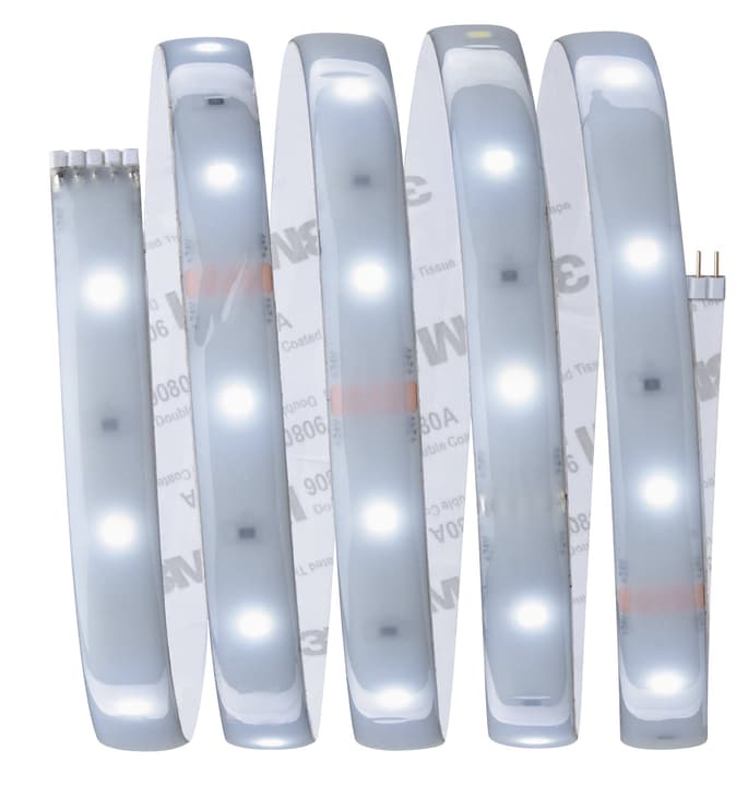 Image of Paulmann MaxLED 250 Basisset 1,5 m, Tuneable Whit Light-Strip