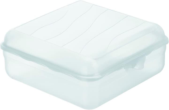 Image of Rotho FUN Lunchbox Snackbox