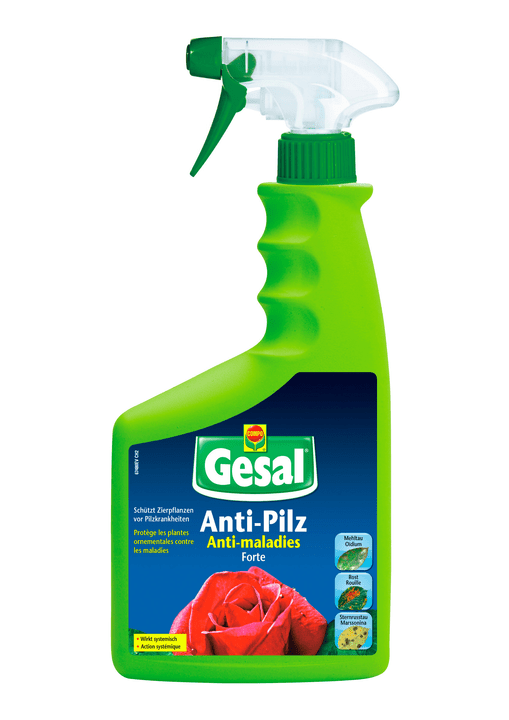 Image of Compo Gesal Anti-Pilz Forte, 750 ml Pilzkrankheiten