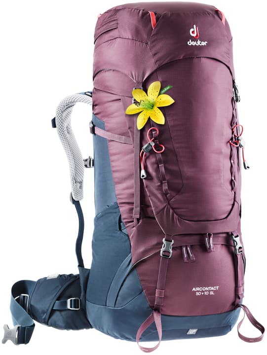 Image of Deuter Aircontact 50+10 SL Damen-Trekkingrucksack bordeaux bei Migros SportXX