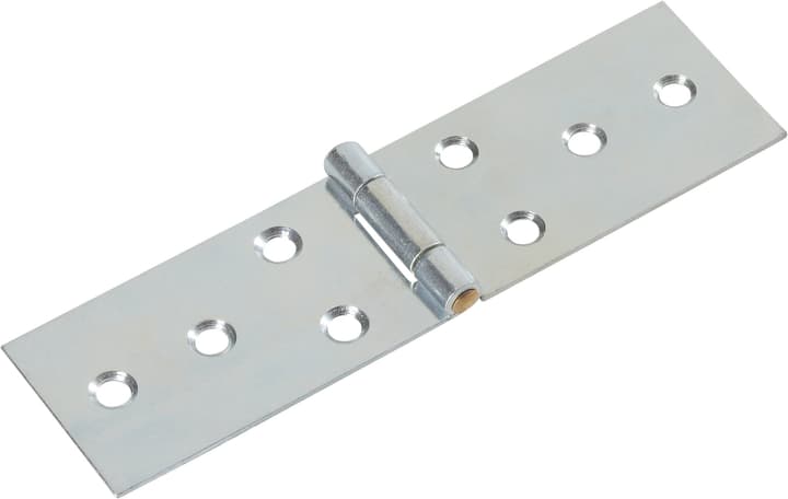Do it + Garden Cerniera per tavoli Cerniera per tavoli Do it + Garden 605831600000 Taglio 120 x 33 mm N. figura 1