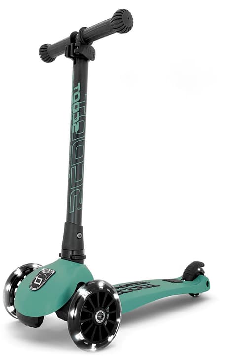 Image of Scoot and Ride Highwaykick 3 LED Scooter gras