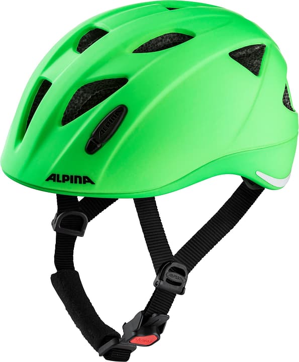 Image of Alpina Ximo L.e. Velohelm grün