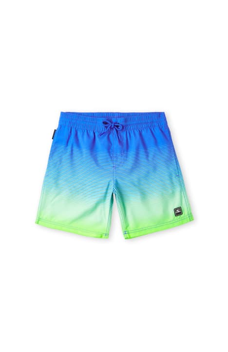 Image of O'Neill Cali Gradient Badeshorts mehrfarbig