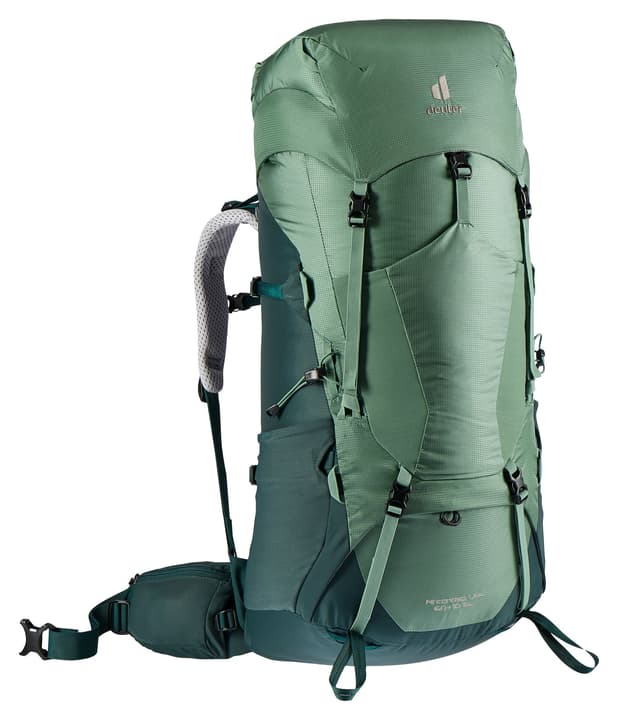 Image of Deuter Aircontact Lite 60 + 10 SL Damen-Trekkingrucksack hellgrün bei Migros SportXX