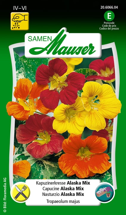 Image of Samen Mauser Kapuzinerkresse Alaska Mix Blumensamen