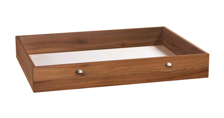 HASENA BOX Bettkasten BOX Bettkasten HASENA 403131585234 Grösse B: 120.0 cm x T: 89.0 cm x H: 18.0 cm Farbe Walnuss Bild Nr. 1