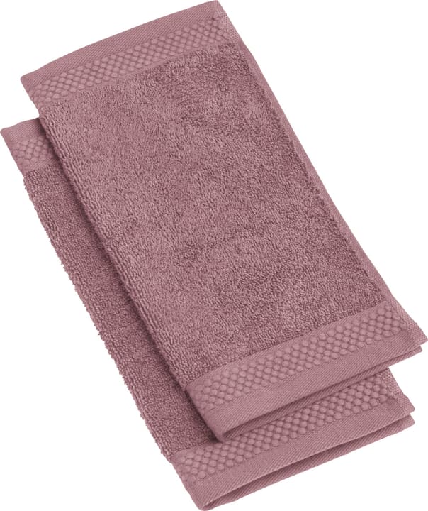 NEVA Lavettes 2 pièces NEVA Lavettes 2 pièces 450849720145 Couleur Violet Dimensions L: 30.0 cm x H: 30.0 cm Photo no. 1