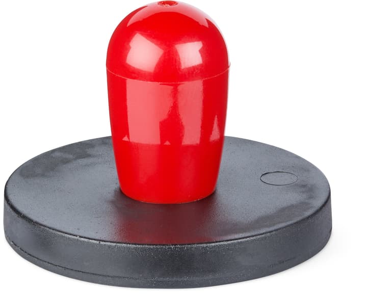Image of Magnet Antirutsch Mit Griff, 1 Stk. Magnete