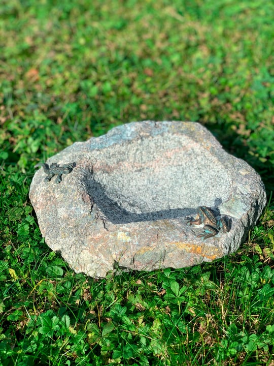 Image of Neogard Frosch und Eidechse Vogeltränke