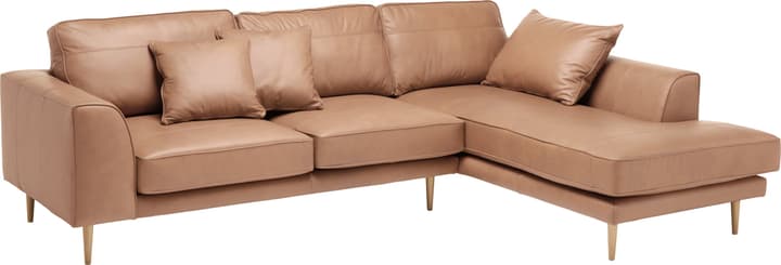 ADLER Canapé d'angle ADLER Canapé d'angle 405729650071 Couleur Marron clair Dimensions L: 295.0 cm x P: 202.0 cm x H: 90.0 cm Photo no. 1