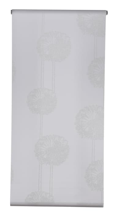 FROST Store enrouleur FROST Store enrouleur 430742906210 Couleur Blanc Dimensions L: 62.0 cm x H: 185.0 cm Photo no. 1