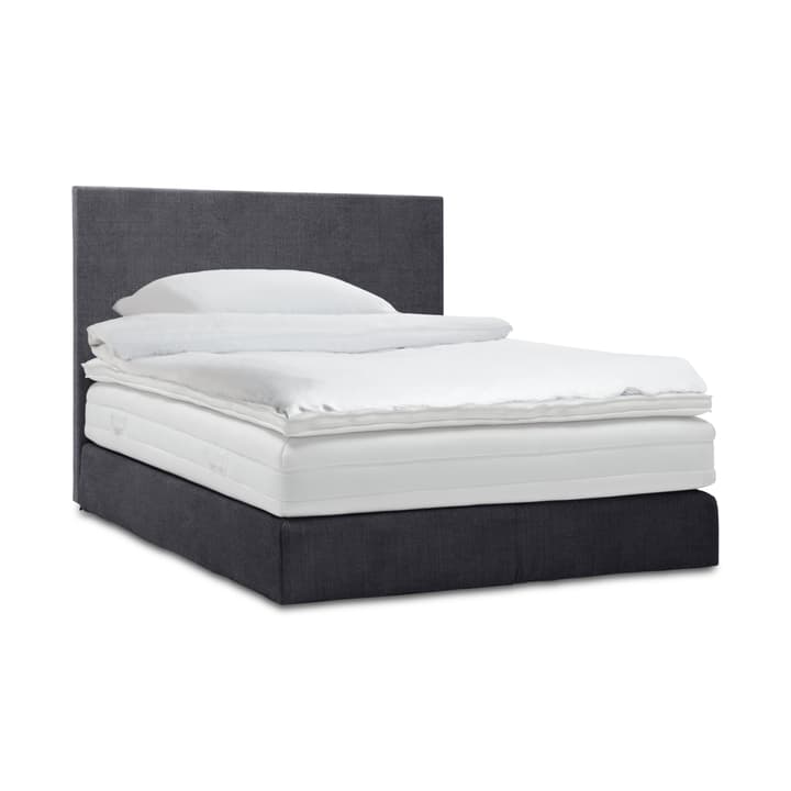 GRACE Boxspringbett GRACE Boxspringbett 364287800000 Grösse B: 200.0 cm x T: 160.0 cm Farbe Anthrazit Bild Nr. 1