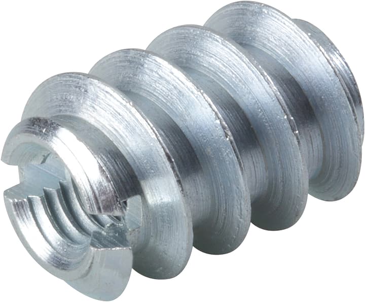 Image of Einschraubmuttern verzinkt M 4 x 8 12 mm Schraub- und Schlagmuttern bei Do it + Garden von Migros