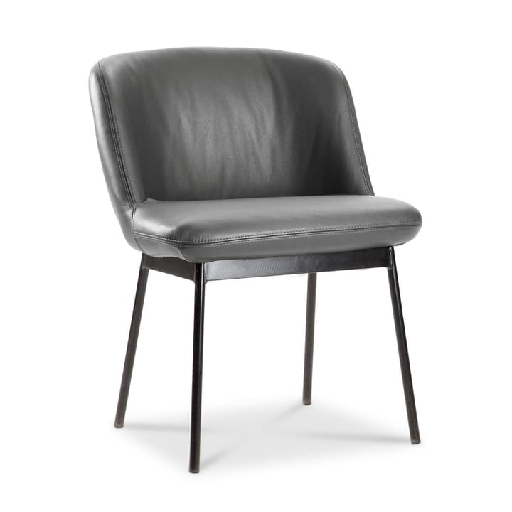 UNICO Chaise UNICO Chaise 366023477608 Dimensions L: 55.0 cm x P: 58.0 cm x H: 74.0 cm Couleur Noir Photo no. 1