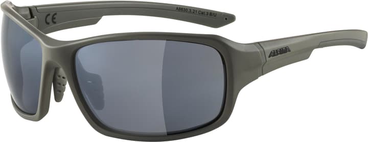 Image of Alpina Lyron Sportbrille grau