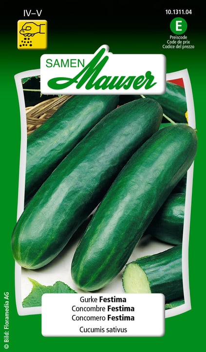 Image of Samen Mauser Gurke Festima Gemüsesamen