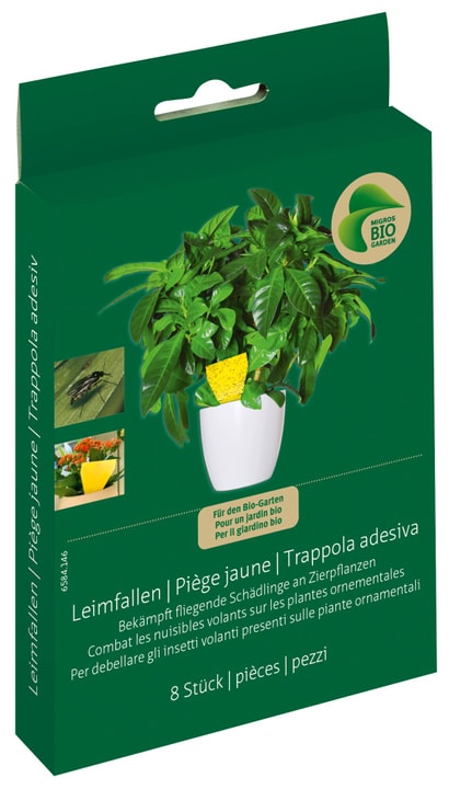 Image of Migros-Bio Garden Leimfallen Insektenfalle bei Do it + Garden von Migros