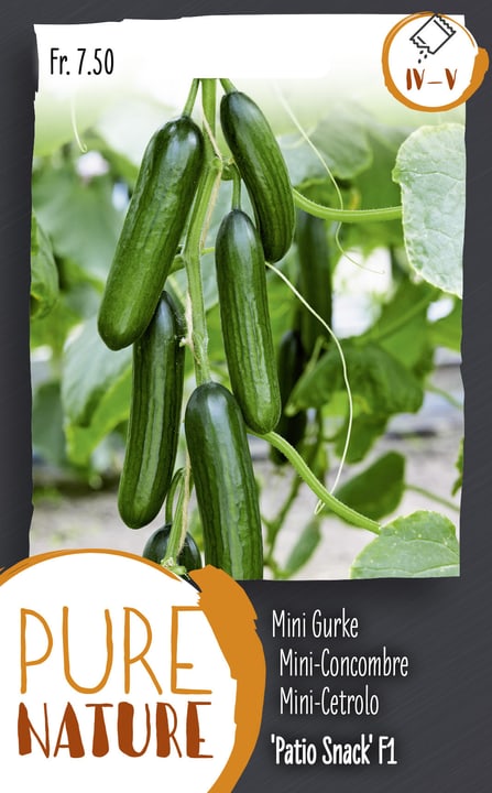 Image of Mini Gurke 'Patio Snack' F1 10 Korn Gemüsesamen bei Do it + Garden von Migros