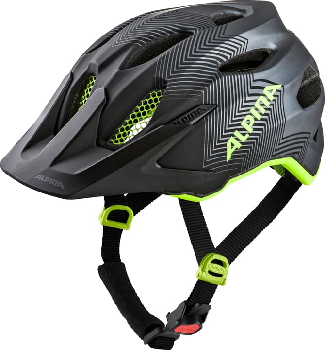 Image of Alpina Carapax JR Flash Velohelm