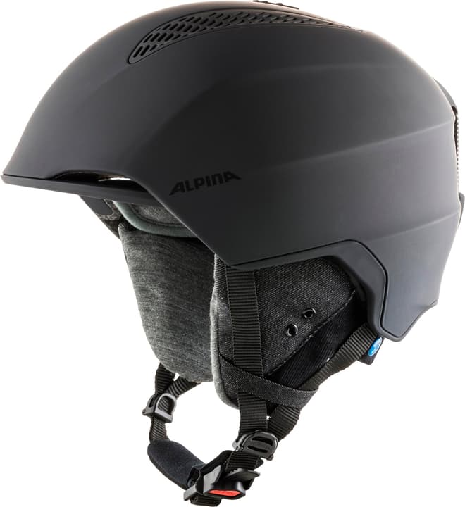 Image of Alpina Grand Lavalan Skihelm kohle