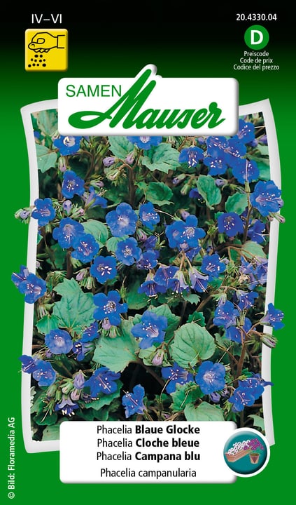 Image of Samen Mauser Phacelia Blaue Glocke Blumensamen bei Do it + Garden von Migros