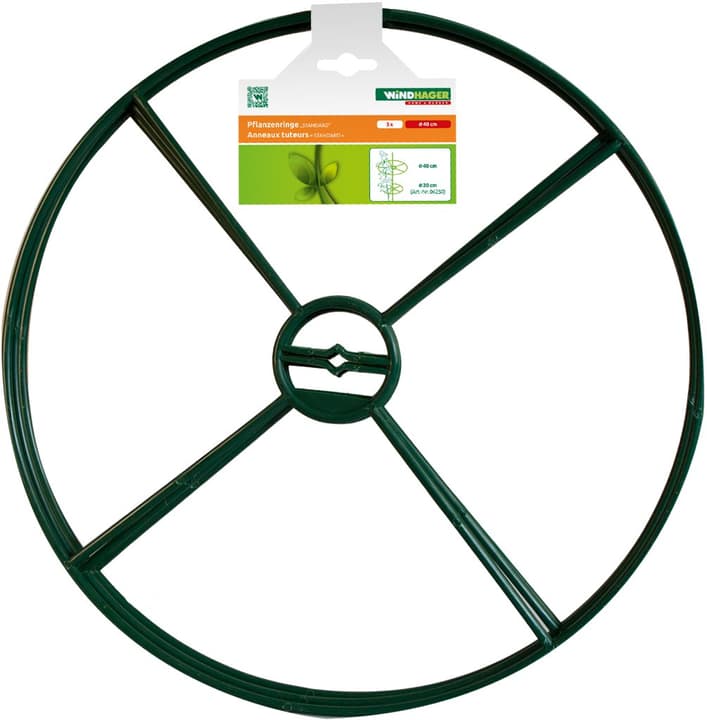 Image of Windhager STANDARD Pflanzenstütze bei Do it + Garden von Migros