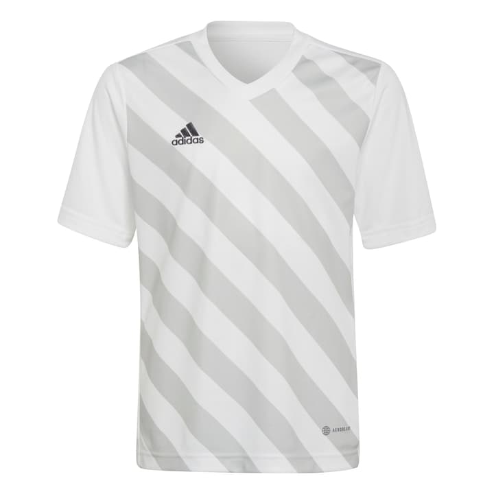 Image of Adidas Entrada 22 Graphic Trikot Fussballshirt weiss bei Migros SportXX
