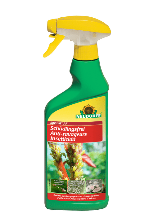 Image of Neudorff Spruzit AF Schädlingsfrei, 500 ml Insektizid